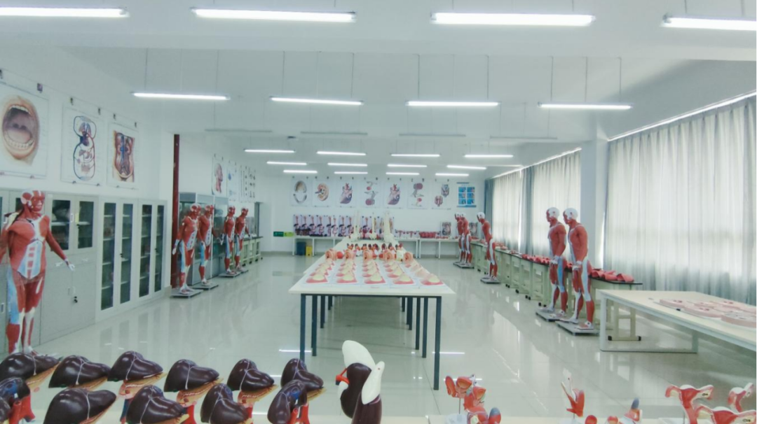 beat365平台官方网站特色专业 | 医学影像技术