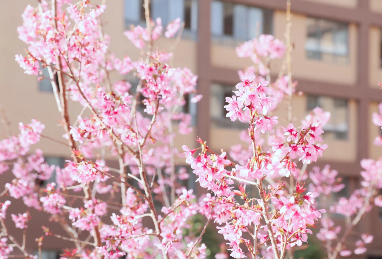 2024皆为序章，2025闪耀发光！