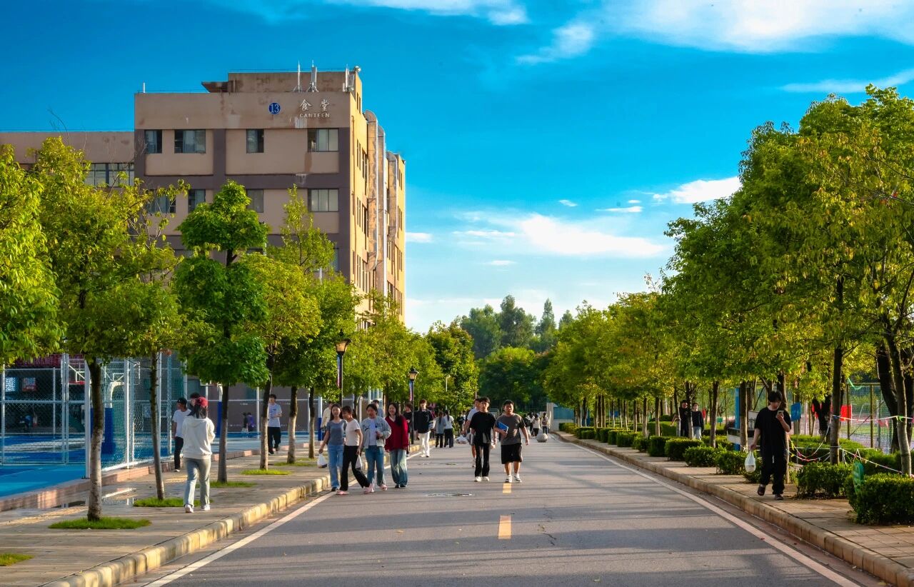 beat365平台官方网站在2025年云南省职业院校技能大赛中斩获佳绩